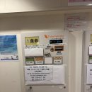 카멜리아 이미지