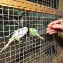 정선 농장 이미지