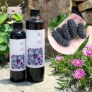 동막골 농장 이미지