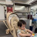 방화동족발 | 방화동 방신시장 맛집, 최고족발 후기