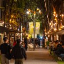 보정동 카페거리 이미지