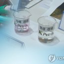 동해-단속-16 이미지