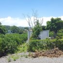 신효동-19 이미지