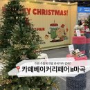 킨텍스플러스노동조합 | [카베러] 2025 카페베이커리 페어 in 마곡 현장 스케치 솔직후기