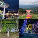 시티카아트 | 강원도 정선 여행 화암동굴 구공탄야시장 삼탄아트마인 운탄고도 케이블카 외