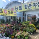 청운꽃농원 - 동구 팔공로 75 | 청운꽃농원