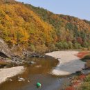 푸른초장 이미지