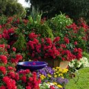 인근농장 이미지