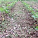 사리현농장 이미지