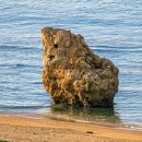 여주-0013 | 미운우리새끼 오키나와여행 서장훈, 탁재훈 일정코스들 정보