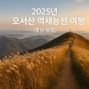 타임9002 이미지