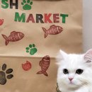 고양이집 이미지