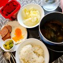 캔버라호텔 옆 | [호주 워홀D+201] 포트더글라스 24주차 (시골 바리스타 일상, 호주 운전면허 신청, 부활절 이벤트)