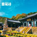 한미산 흥국사 만일회비 | 고양 흥국사 통일신라 천년고찰 서울 근교 여행 가볼만한 곳