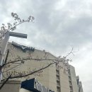 충무공동 종합경기장 | NC다이노스 무료 셔틀버스 탑승 후기🚎, 진주 - 창원 출발 장소