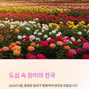공릉가로공원및묵동천 | [5월 주말 나들이 추천] 서울 중랑장미축제, 도심 속 꽃길 산책 어떠세요?