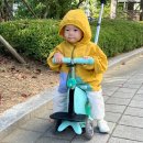 소라어린이집 | 피넛포레스트 바람막이, 스트라이프 티셔츠, 양말, 와플세트 등 사계절 착샷 후기