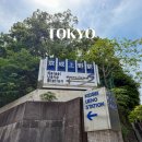 11545-10-24-41 | 도쿄 나리타 공항에서 우에노 스카이라이너 예약 꿀팁 | 41분 컷