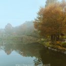 송곡지 | 공주 숨겨진 명소 불장골 저수지 엔학고레 송곡지