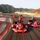 버디버디 스크린 이미지