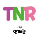 합강동물병원 이미지