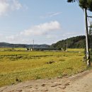 서산회관 이미지