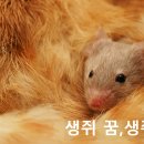 비서재준