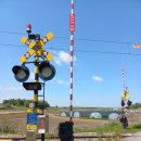 필마농장 이미지