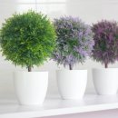 서브힐링 이미지