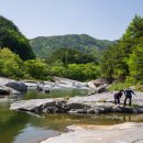 농월정야영장 이미지