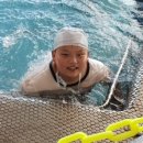 연세 성원 태권도 네이버블로그