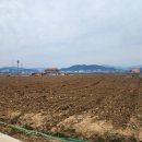 (주)티피팜 이미지