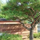 혜정목장 | 2026 춘천 여행