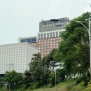 워커힐(주) | [서울] 비스타 워커힐호텔 호캉스 후기 (한강뷰, 스카이야드, 실내수영장, 포레스트가든, 힐링포레스트...