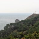 섬에 머물다 이미지