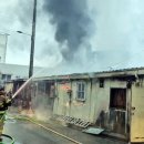 연기동물병원 이미지