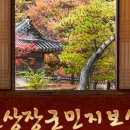 서상동129 이미지