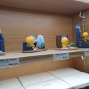 카카오 프렌즈 동대문 이미지