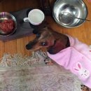 마마노코코로 이미지