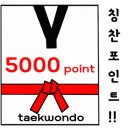 용인대 한양 태권도장 이미지