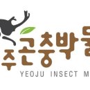 여주-1126 네이버블로그
