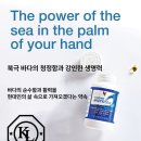 포에버코리아(유)