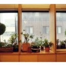 바다소리피아노학원 이미지