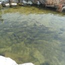 저수지길 이미지