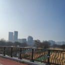 백현다리길 이미지