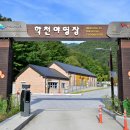 패밀리야영장 이미지
