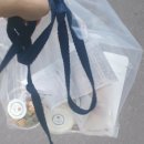 나댕디 | 동래 디저트카페 애견카페 나댕디 방문 후기