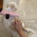 쏘리브