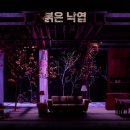 달오름마을 | [공연] 연극 붉은 낙엽 관극후기 (달오름극장 시야 및 상세정보) / 국립극장 달오름