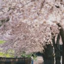병산로 이미지